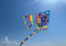 На аэродроме ДОСААФ Каштак в Чите прошел традиционный фестиваль воздушных змеев
